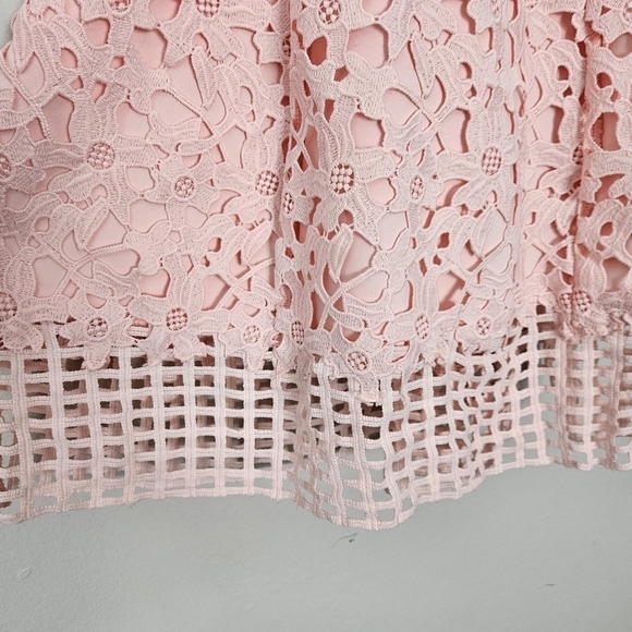 Lovers and Friends Bellini lace mini dress pink size S - Picture 12 of 13